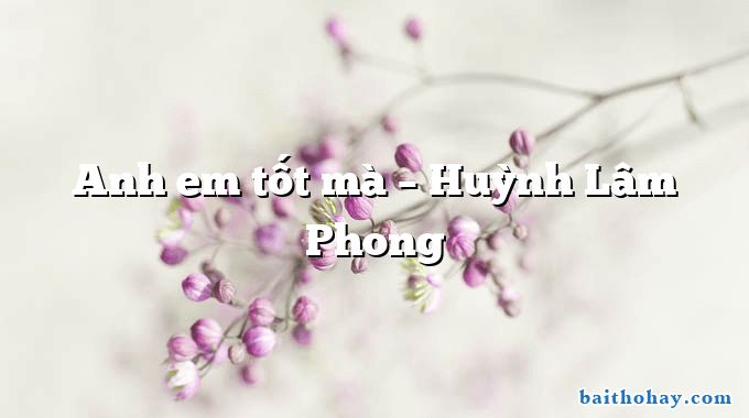 Anh em tốt mà – Huỳnh Lâm Phong