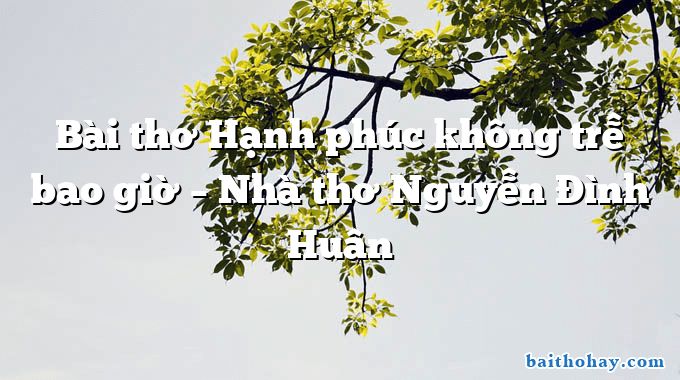 Bài thơ Hạnh phúc không trễ bao giờ – Nhà thơ Nguyễn Đình Huân