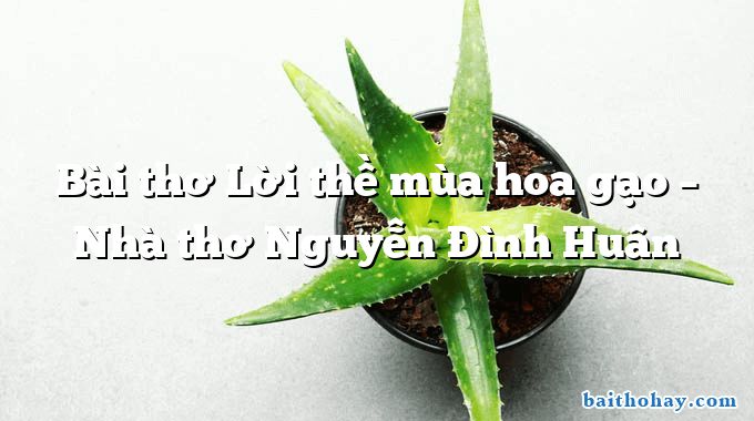 Bài thơ Lời thề mùa hoa gạo – Nhà thơ Nguyễn Đình Huân
