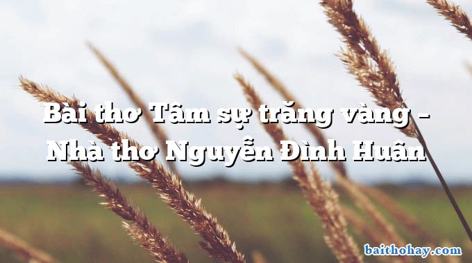 Bài thơ Tâm sự trăng vàng – Nhà thơ Nguyễn Đình Huân