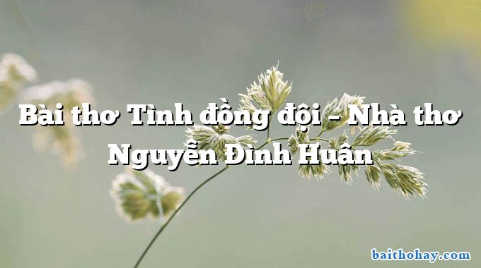 Bài thơ Tình đồng đội – Nhà thơ Nguyễn Đình Huân