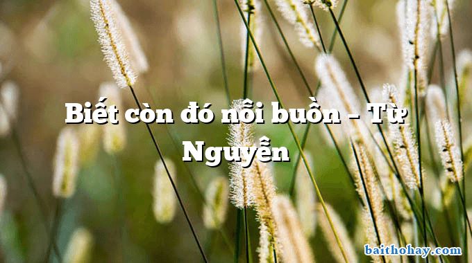 Biết còn đó nỗi buồn – Từ Nguyễn