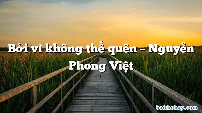 Bởi vì không thể quên  –  Nguyễn Phong Việt