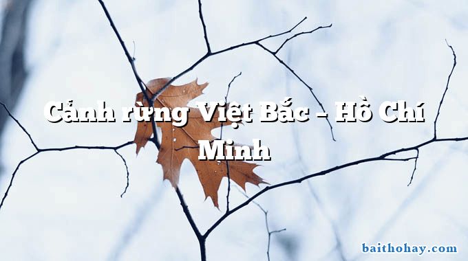 Cảnh rừng Việt Bắc – Hồ Chí Minh