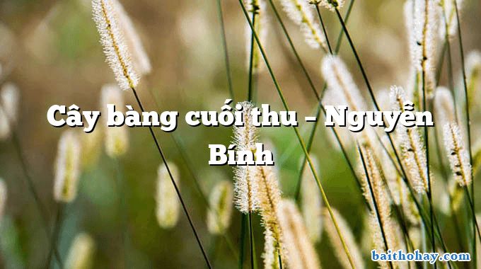 Cây bàng cuối thu – Nguyễn Bính