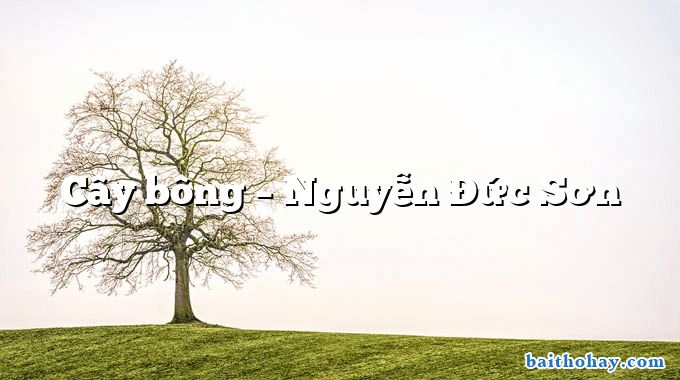 Cây bông  –  Nguyễn Đức Sơn