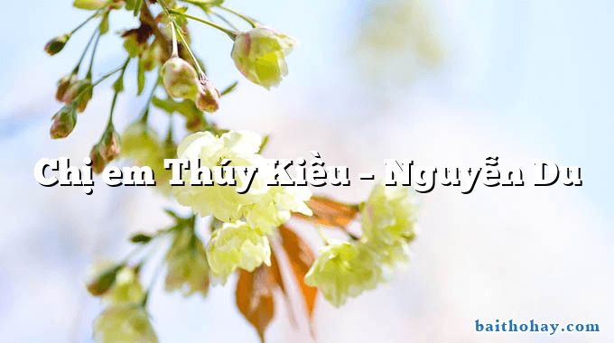 Chị em Thúy Kiều – Nguyễn Du