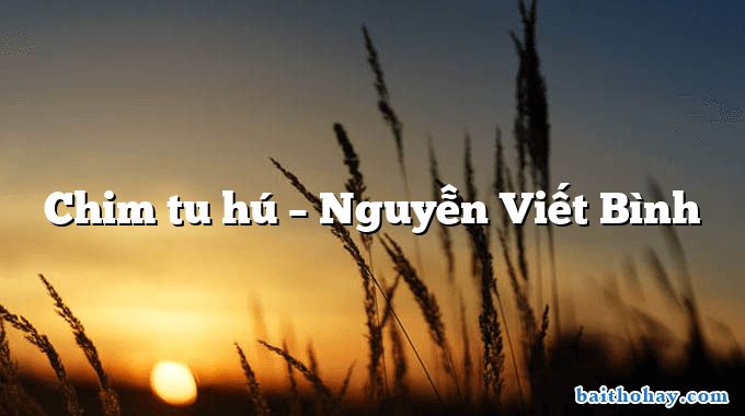 Chim tu hú – Nguyễn Viết Bình