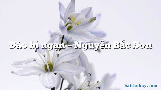 Đáo bỉ ngạn  –  Nguyễn Bắc Sơn
