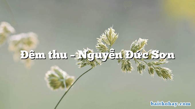 Đêm thu  –  Nguyễn Đức Sơn