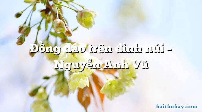 Đồng dao trên đỉnh núi  –  Nguyễn Anh Vũ