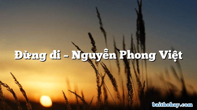 Đừng đi  –  Nguyễn Phong Việt