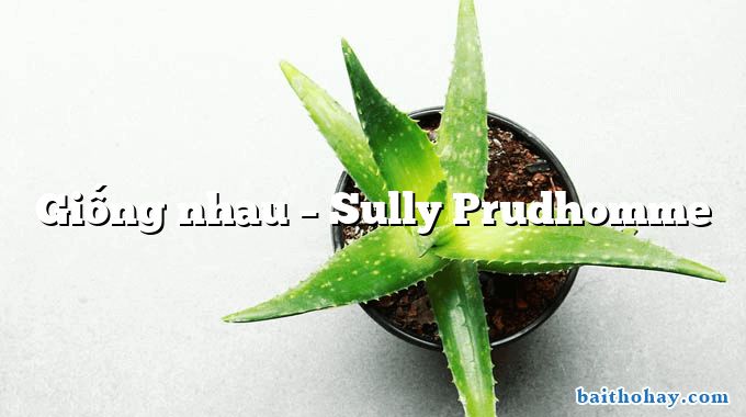 Giống nhau  –  Sully Prudhomme