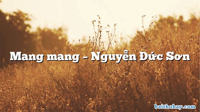 Mang mang  –  Nguyễn Đức Sơn