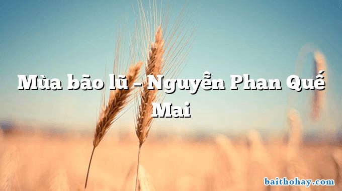 Mùa bão lũ  –  Nguyễn Phan Quế Mai