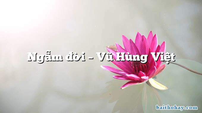 Ngẫm đời – Vũ Hùng Việt