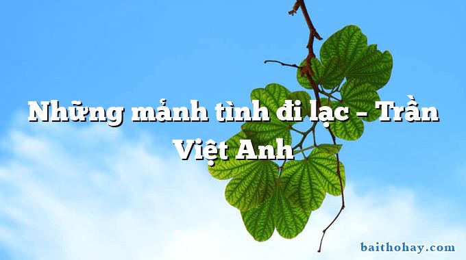 Những mảnh tình đi lạc  –  Trần Việt Anh