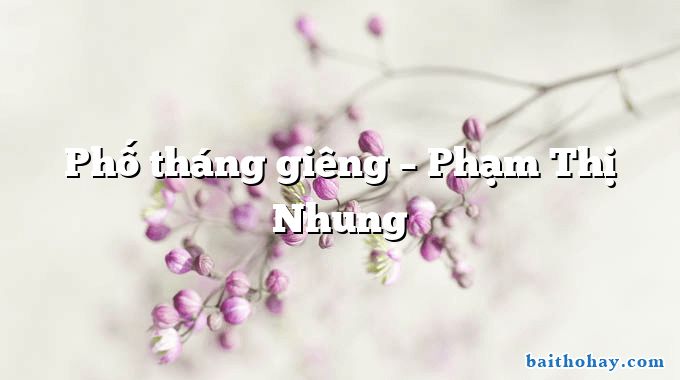 Phố tháng giêng  –  Phạm Thị Nhung