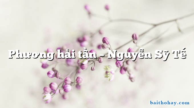Phương hải tần  –  Nguyễn Sỹ Tế