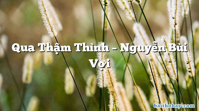 Qua Thậm Thình – Nguyễn Bùi Vợi