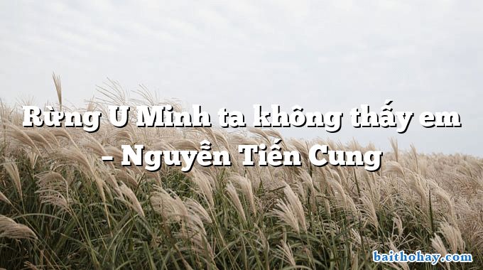Rừng U Minh ta không thấy em  –  Nguyễn Tiến Cung
