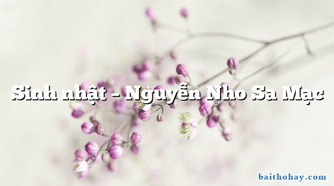 Sinh nhật  –  Nguyễn Nho Sa Mạc
