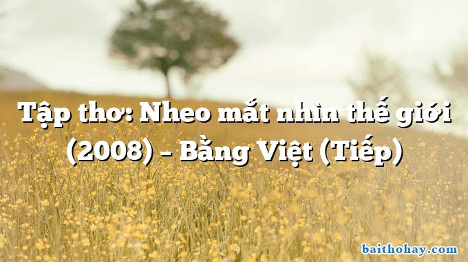 Tập thơ: Nheo mắt nhìn thế giới (2008) – Bằng Việt (Tiếp)