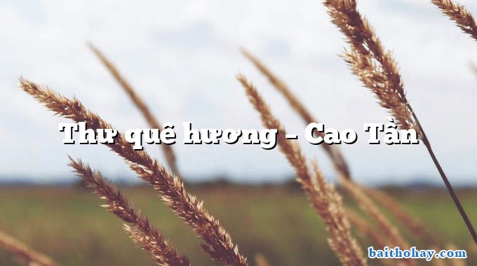 Thư quê hương  –  Cao Tần