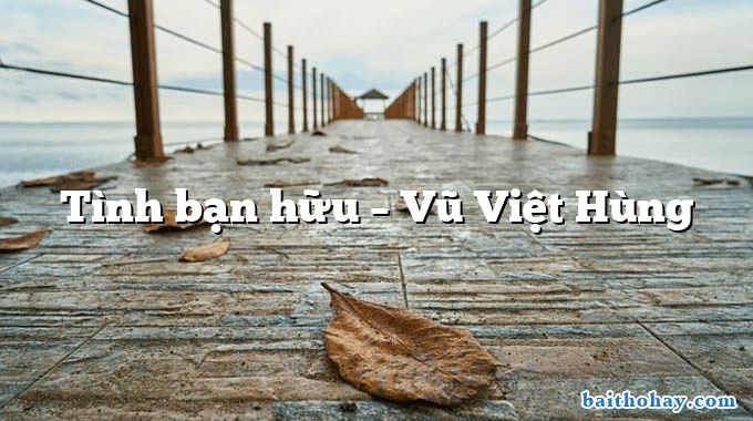 Tình bạn hữu – Vũ Việt Hùng