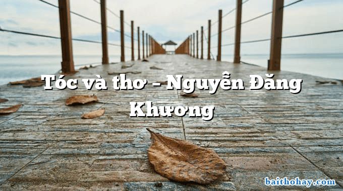 Tóc và thơ  –  Nguyễn Đăng Khương