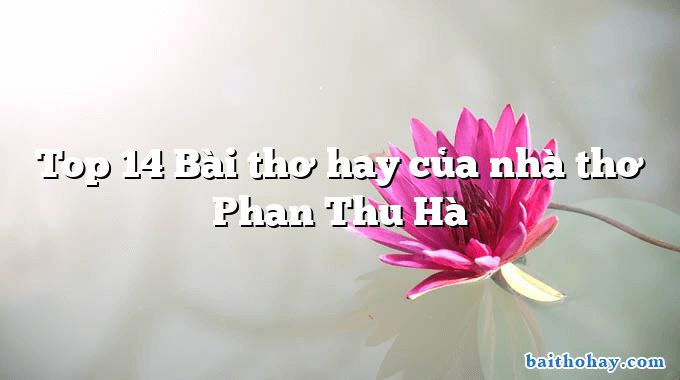 Top 14 Bài thơ hay của nhà thơ Phan Thu Hà