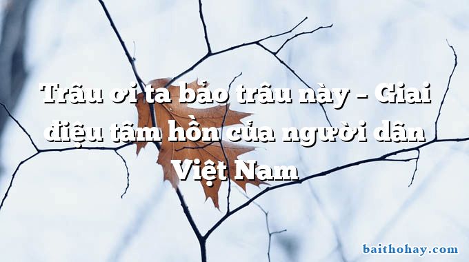 Trâu ơi ta bảo trâu này – Giai điệu tâm hồn của người dân Việt Nam