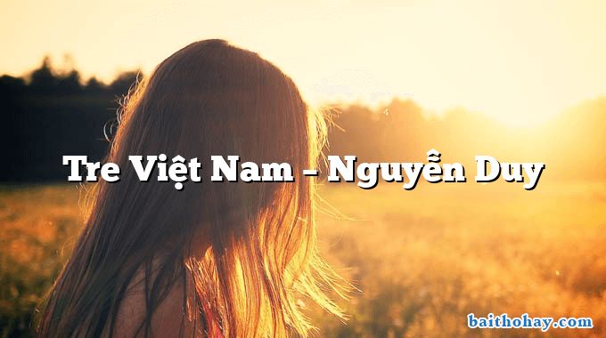 Tre Việt Nam – Nguyễn Duy