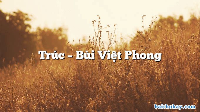 Trúc  –  Bùi Việt Phong