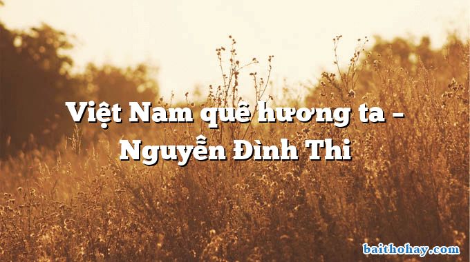 Việt Nam quê hương ta  –  Nguyễn Đình Thi