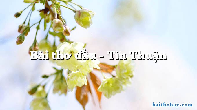 Bài thơ đầu – Tín Thuận