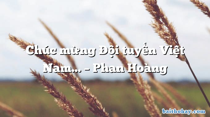 Chúc mừng Đội tuyển Việt Nam… – Phan Hoàng