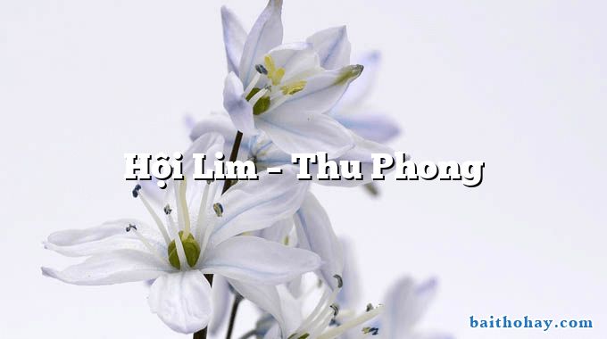Hội Lim – Thu Phong