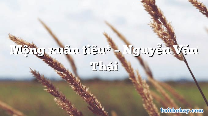 Mộng xuân tiêu* – Nguyễn Văn Thái