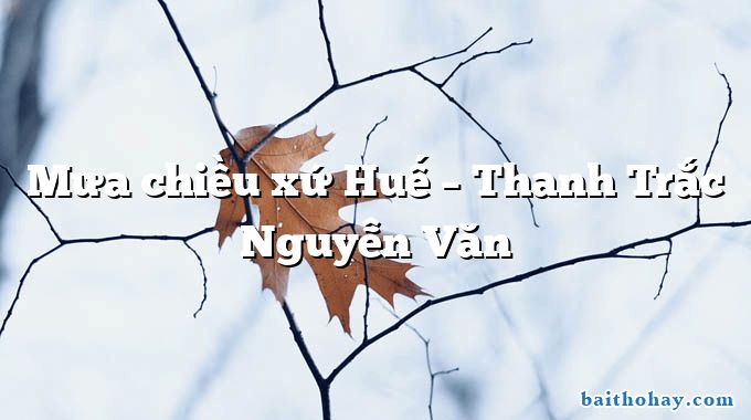 Mưa chiều xứ Huế – Thanh Trắc Nguyễn Văn