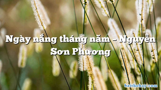 Ngày nắng tháng năm – Nguyễn Sơn Phương