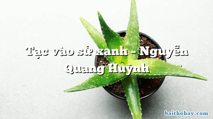 Tạc vào sử xanh – Nguyễn Quang Huỳnh