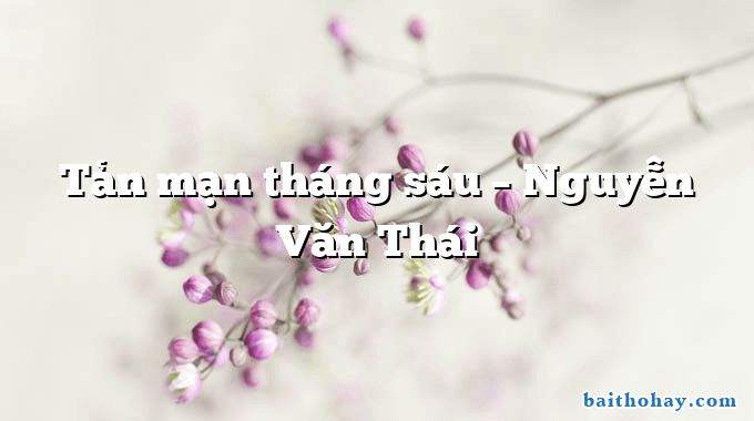Tản mạn tháng sáu – Nguyễn Văn Thái