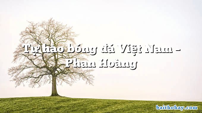 tu hao bong da viet nam phan hoang - Tự hào bóng đá Việt Nam – Phan Hoàng