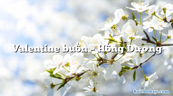 valentine buon hong duong - Valentine buồn – Hồng Dương