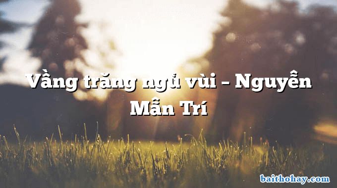 Vầng trăng ngủ vùi –  Nguyễn Mẫn Trí
