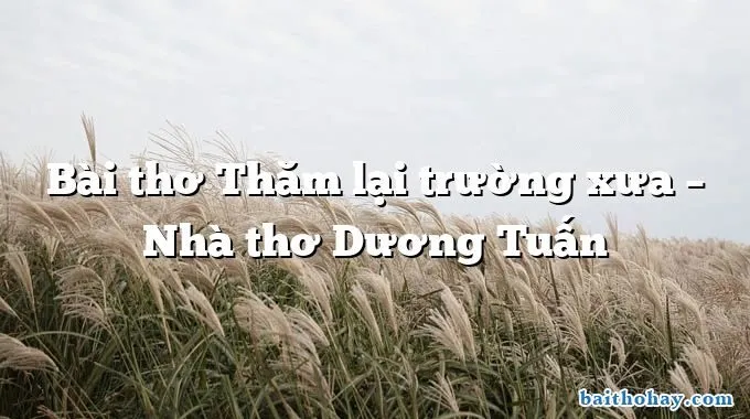 bai tho tham lai truong xua nha tho duong tuan